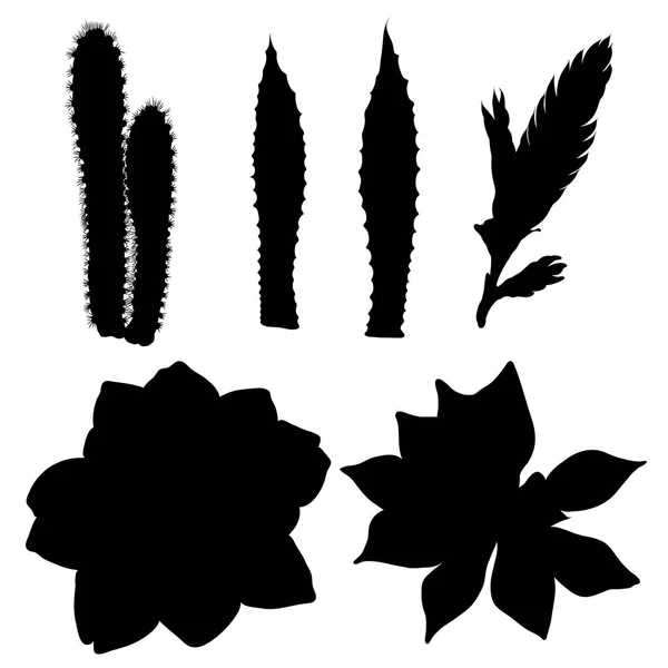 Silhouettes noires de cactus dessinés à la main. Plantes exotiques du désert — Image vectorielle