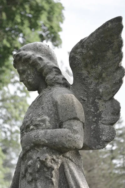 Trauriger Engel auf dem Friedhof gegen Bäume und Blätter — Stockfoto