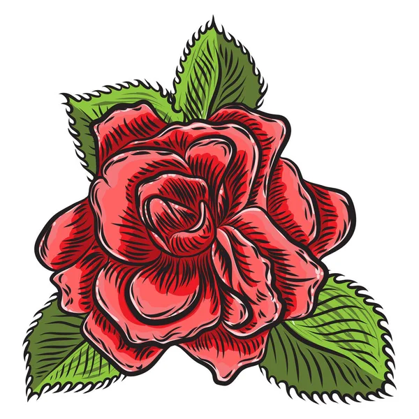 Floral rosa elemento de flores con hojas verdes para el diseño de ramo , — Vector de stock