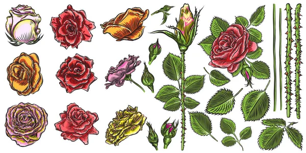 Floral bouquet elementos de design com flores rosas vermelhas jardim em — Vetor de Stock