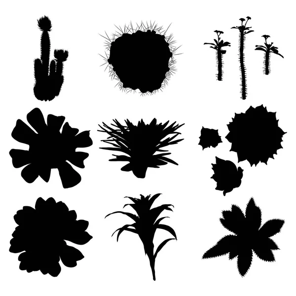 Silhouette nere cactus set. Piante disegnate a mano. Fiori esotici s — Vettoriale Stock