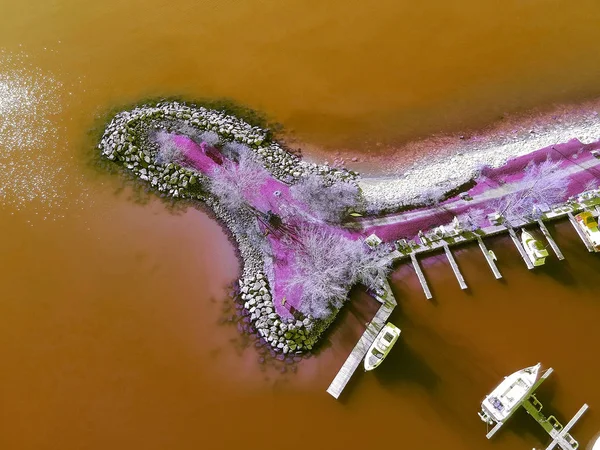 Vista aerea a volo d'uccello sopra tropicale vibrante colore marino con boa — Foto Stock