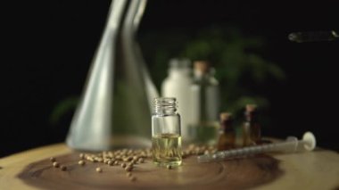 Pipette damlası tıbbi amaçlar için lisanslı kenevir Cbd yağı. Küçük cam kavanozlar ve şırıngalarla donatılmış, sadece oral kullanım için. Tahta masadaki hidrofonik biyolojik tohumlar ve marihuana bitkisi..