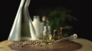 Tıbbi amaçlar için lisanslı kenevir Cbd yağının döndürülmesi ve döndürülmesi. Küçük cam kavanozlar ve şırıngalarla donatılmış, sadece oral kullanım için. Tahta masadaki hidrofonik biyolojik tohumlar ve marihuana bitkisi..