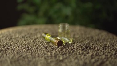 Doğal alternatif tıbbi marihuanada kayma ve odaklanma. Cam kavanozlarda kenevir tohumu yağı. Ağrı tedavisi ve iyileşme endişesi devrimi..