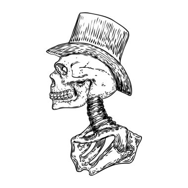 Silindir şapkalı kafatası karakterleri. Çizim. Vektör.