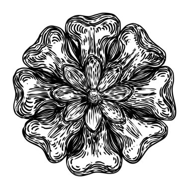 Barok antik tip çiçek desenli dairesel tasarım elementi. Anne!