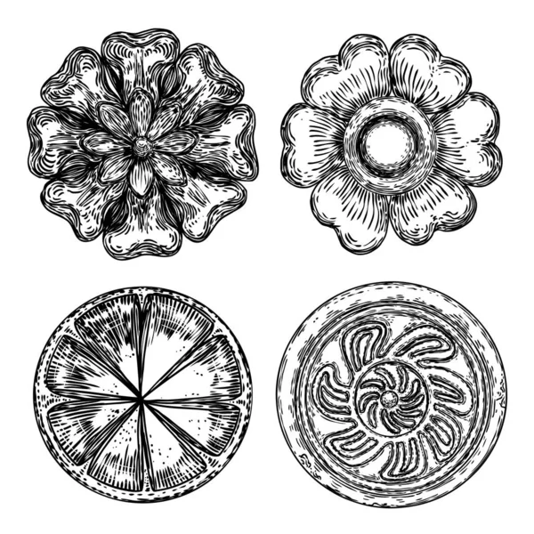 Set van barokke oude vintage stijl bloemen cirkelvormige ontwerp elem — Stockvector