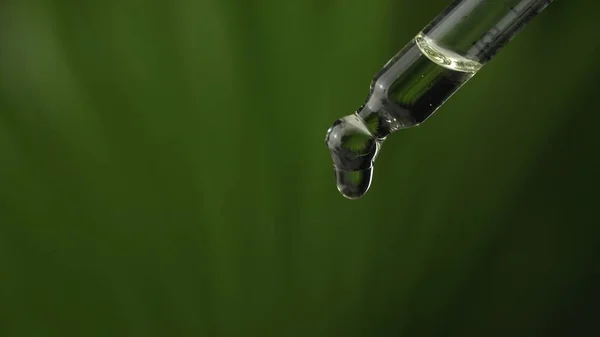 Super macro close-up de dosagem de pipeta gota biológica e ec — Fotografia de Stock