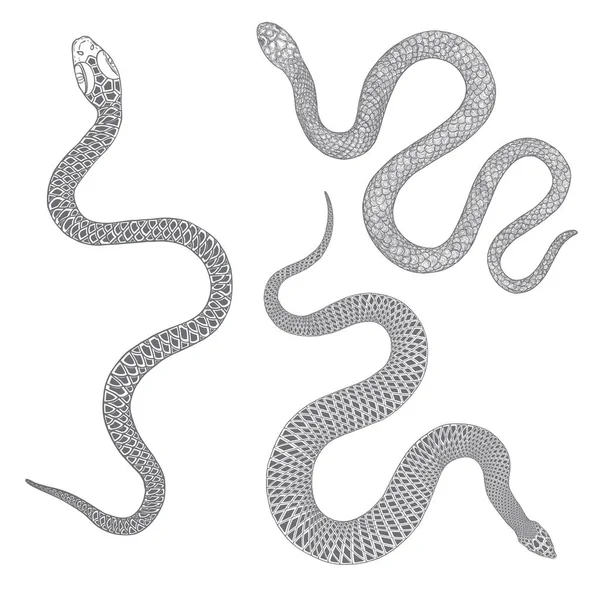 Ensemble de serpents dessin illustration. Serpent noir isolé sur un — Image vectorielle