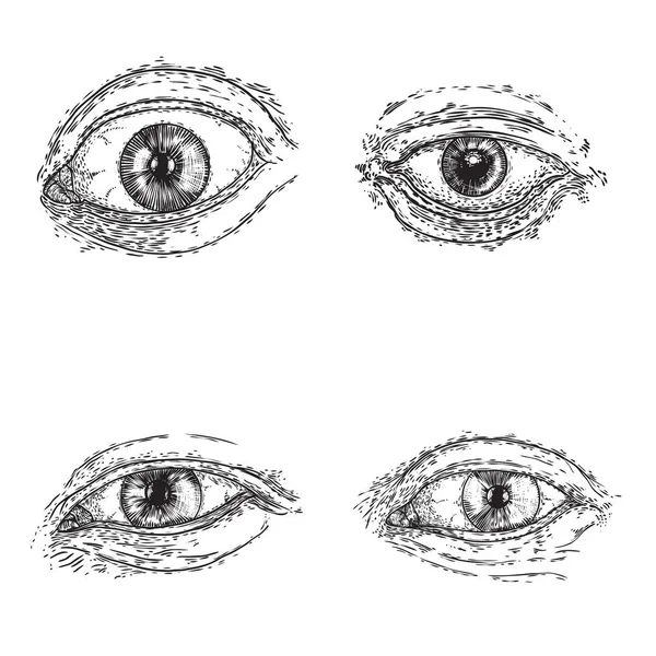 ชุดของภาพวาดต่างๆของดวงตาของมนุษย์ในทิศทางที่แตกต่างกัน — ภาพเวกเตอร์สต็อก