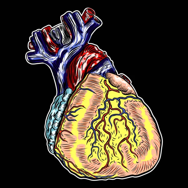 Ludzkie serce anatomicznie narysowane. Kreskówkowe tatuaże flash — Wektor stockowy