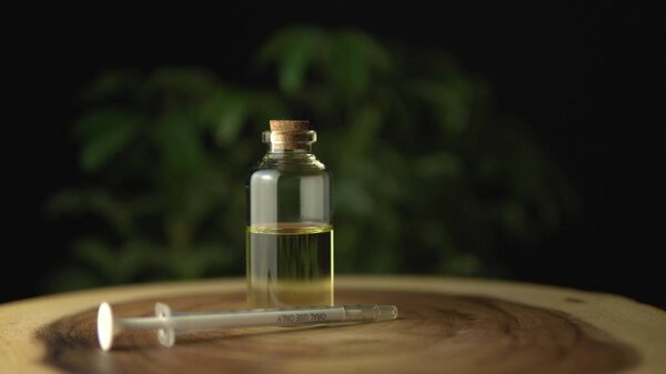 Лицензионное масло каннабиса для медицинских целей. Предыстория
 