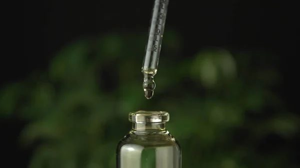 Enchendo garrafa frasco de vidro com mistura de óleo de cannabis cbd para ou — Fotografia de Stock