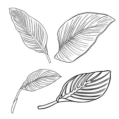 Çiçek tasarım elementleri. Dallarla ayrılır. Aile içi şiddet.