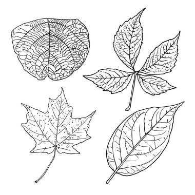 Çiçek tasarım elementleri. Dallarla ayrılır. Aile içi şiddet.