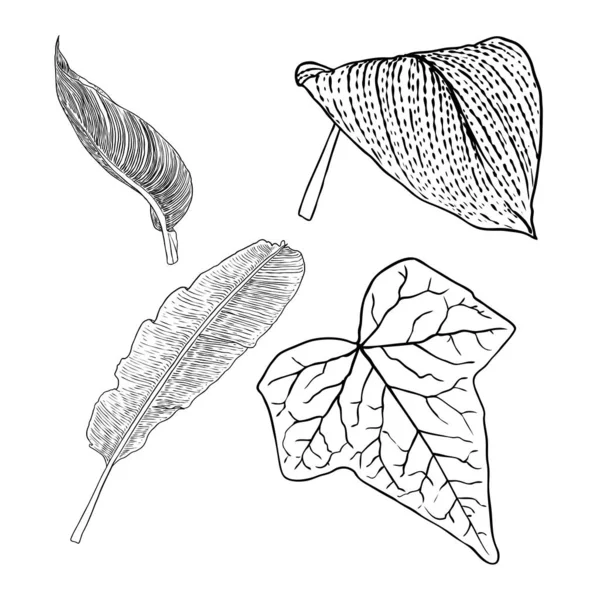 Domestiziertes Haus und Stadtwald saisonale Blätter Zeichnungsset. — Stockvektor