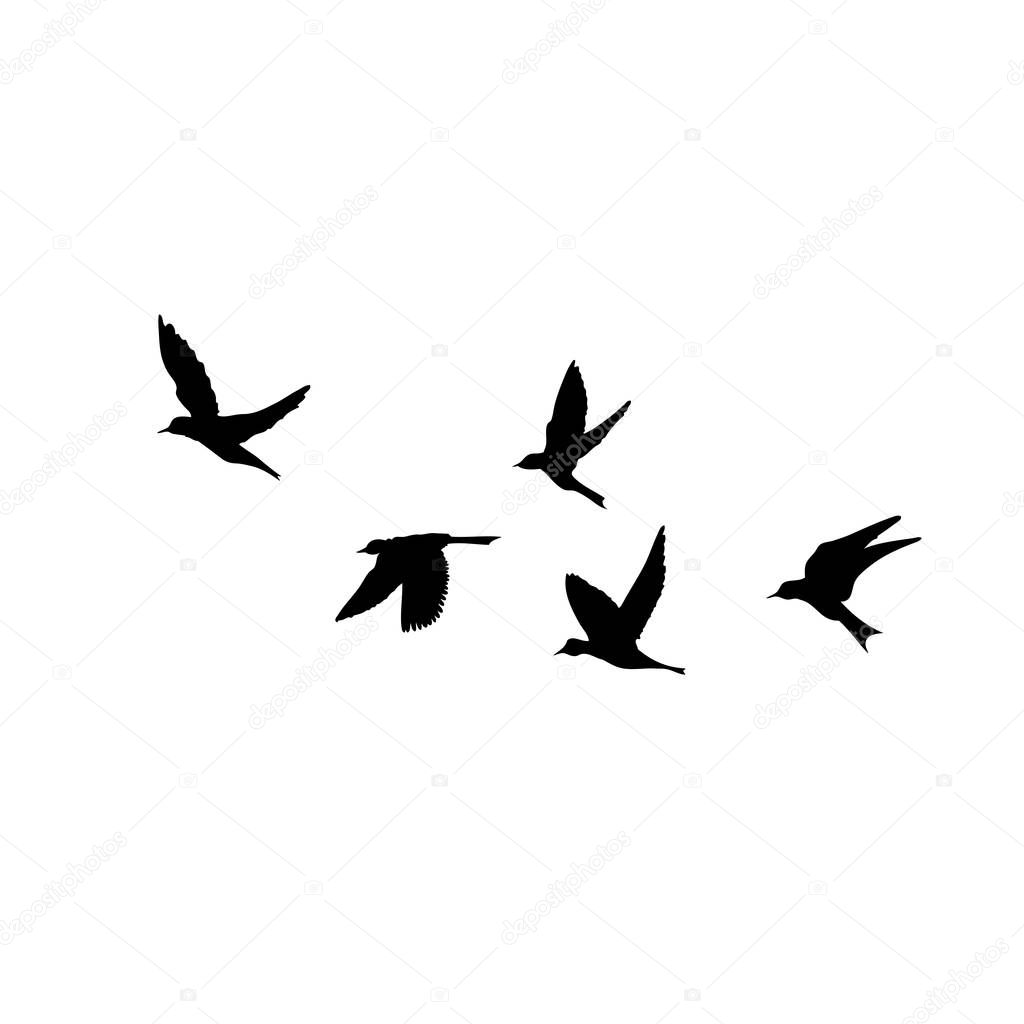 Silhouette of flying birds on white background. Inspirational bo