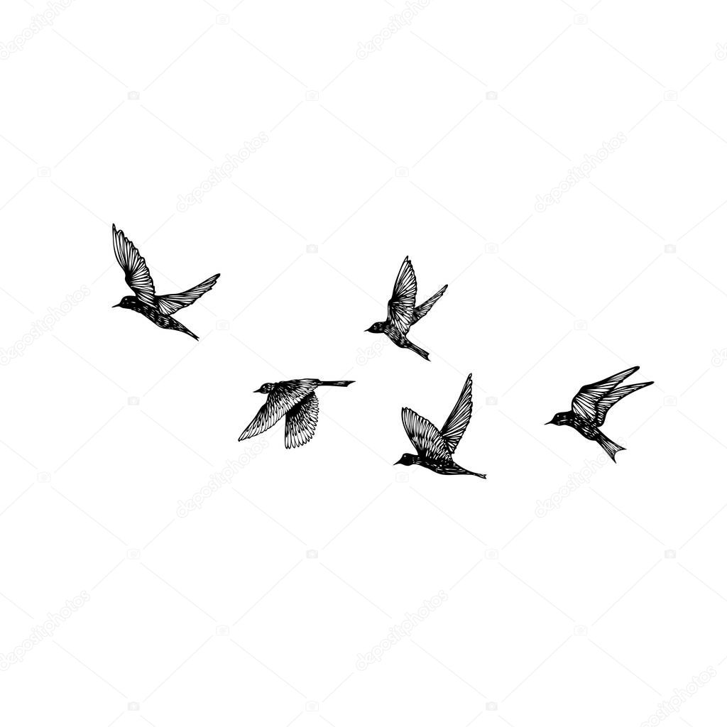 Set Of Black Hand Drawn Strokes Birds Flock Drawing Sketch On White Background Inspirational Body Flash Tattoo Ink Vector Premium Vector In Adobe Illustrator Ai Ai Format Encapsulated Postscript,Types Of Hamsters