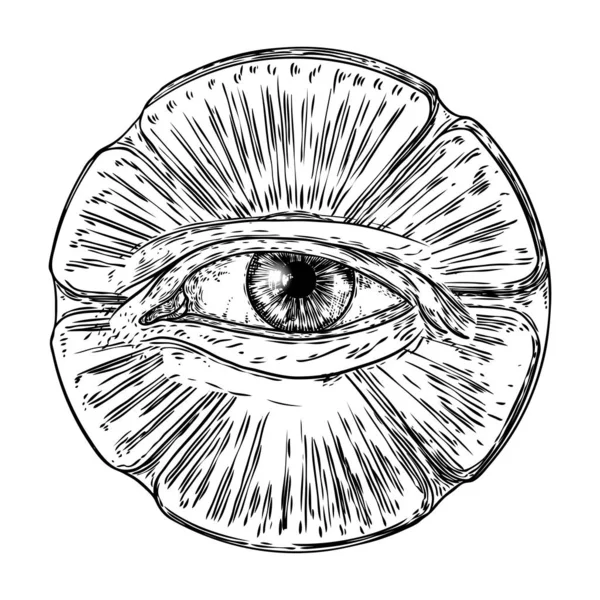 Iris occhio disegnato a mano come elemento di All seeing occhio della provvidenza v — Vettoriale Stock