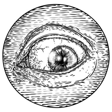 Tüm görme göz sembolü elemanı varyasyonu. Simya, din, spir