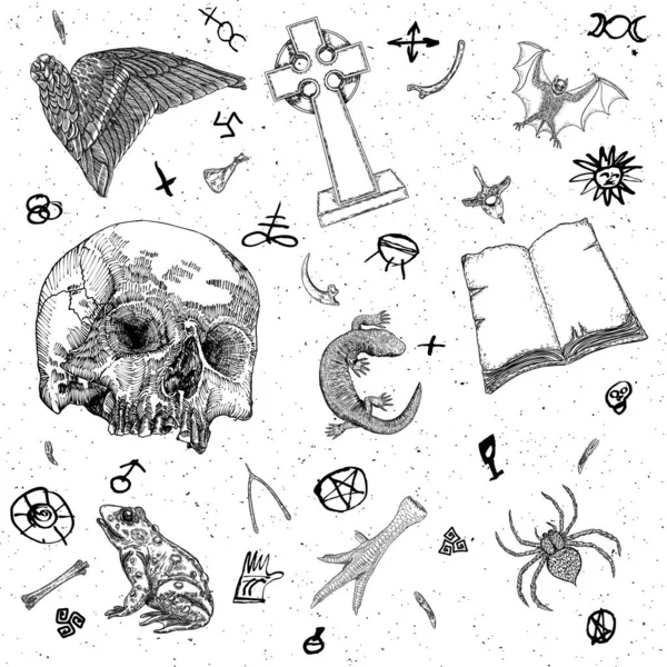 Occult Witch Magic Design Elements Set Hand Drawn Witchcraft Mystery — Stock Vector