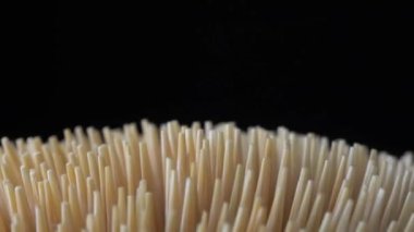 Makro, ahşap bambu kürdanları yan taraftan yavaş çekimde dönüyor. Yemekten sonra diş hijyeni ya da diş bakımı kavramı. Kariyer önleme. Diş Sağlığı Hizmetleri.