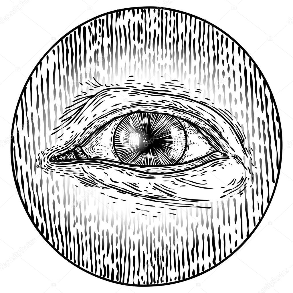 Hand drawn eye iris as element of All seeing eye of providence variation in decorative circle.  Black work tattoo flash of Masonic symbol design. Sacred religion, spirituality and occultism. Vector.