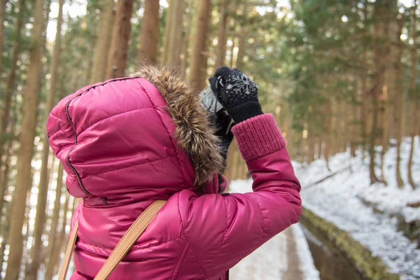 Ragazza viaggia nella stagione invernale — Foto Stock