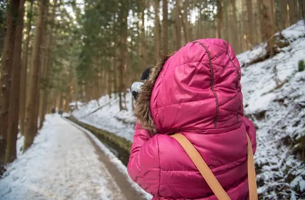 Ragazza viaggia nella stagione invernale — Foto Stock