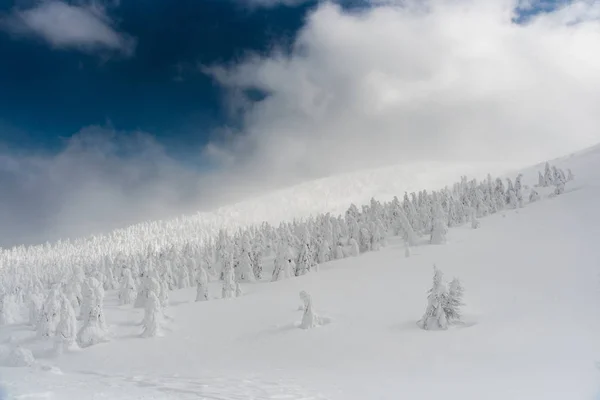 Mostro di neve a montagna di zao — Foto Stock