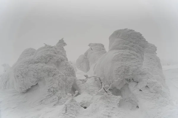 snow monster at zao mountain