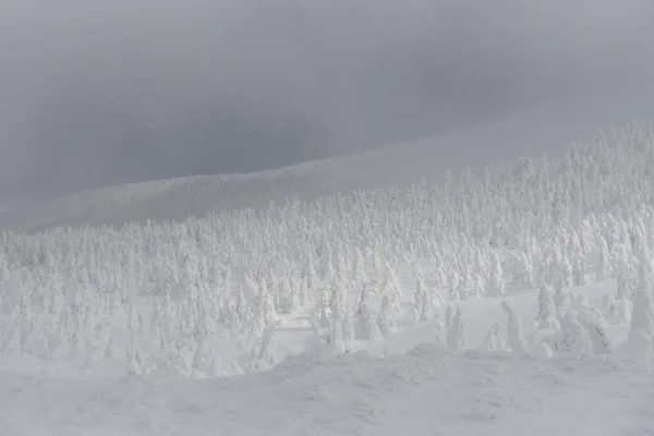 Mostro di neve a montagna di zao — Foto Stock