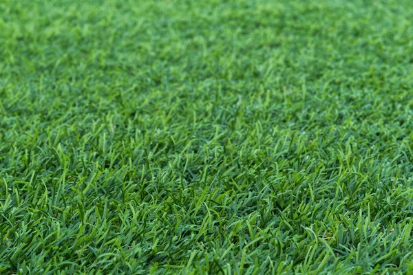 Grama verde artificial textura fundo — Fotografia de Stock