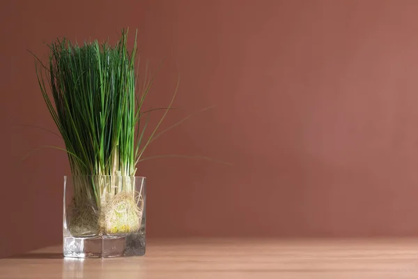 Зеленый лук в стекле на деревянном фоне стола — стоковое фото