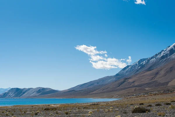 Pangong gölde Leh Lardakh, Hindistan