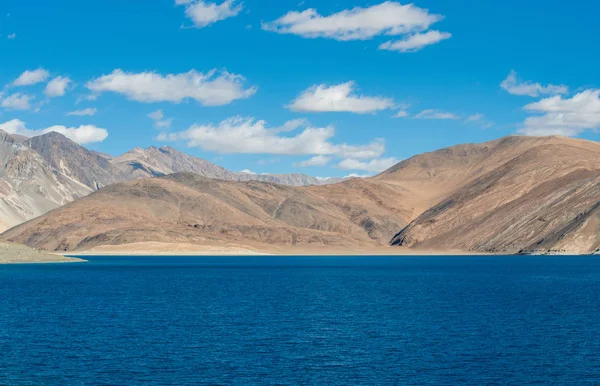 Pangong gölde Leh Lardakh, Hindistan