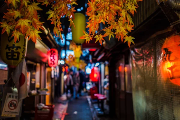 Fokusera på blad för bakgrund, Japansk snabbmat på omoide yo — Stockfoto