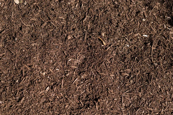 Mix soil for planting — Stock Photo, Image