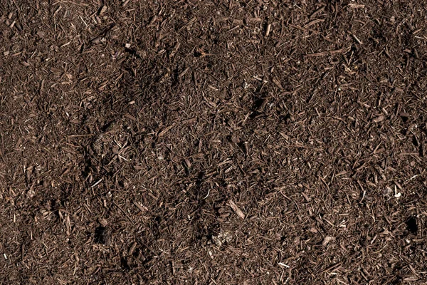 草および土のテクスチャ ストック写真 C Worac
