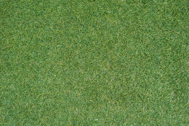 yeşil çimen dokusu arkaplanı