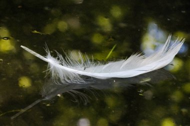 Tüy yansıma ile su