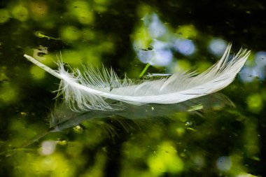 Tüy yansıma ile su