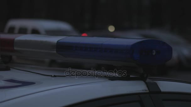 Полицейский автомобиль на крыше мигает светом сзади — стоковое видео