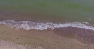 Deniz otu ile karışık deniz suyu