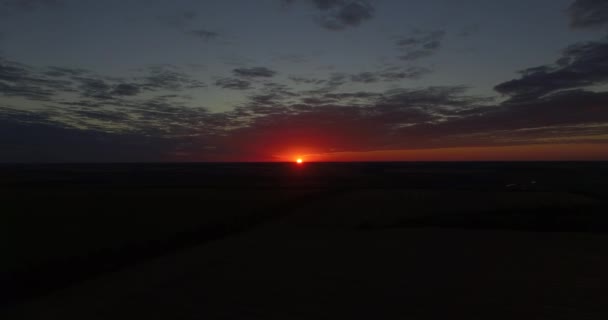 Aérea, vuelo sobre el campo de trigo a través de la salida del sol de la mañana — Vídeos de Stock