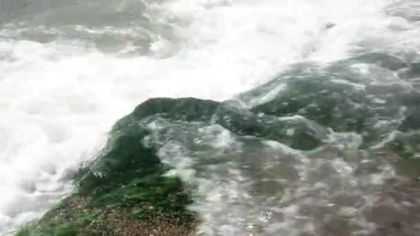 Μικρά κύματα που σκάνε στην θάλασσα — Αρχείο Βίντεο