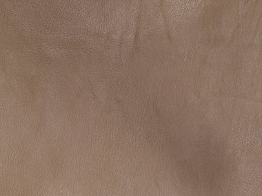 Natural, real light brown leather texture clipart