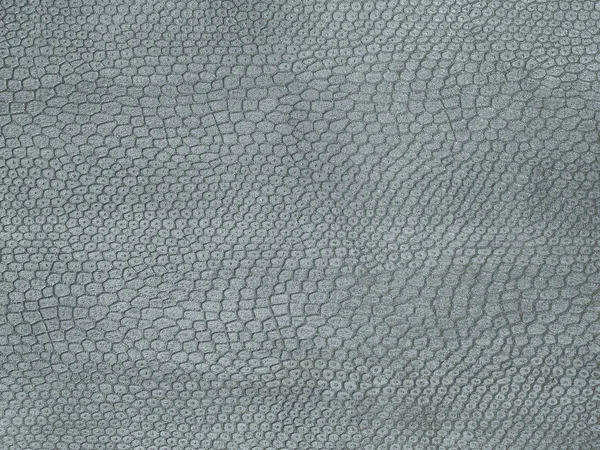 Textura de couro de cobra cinza natural, real — Fotografia de Stock