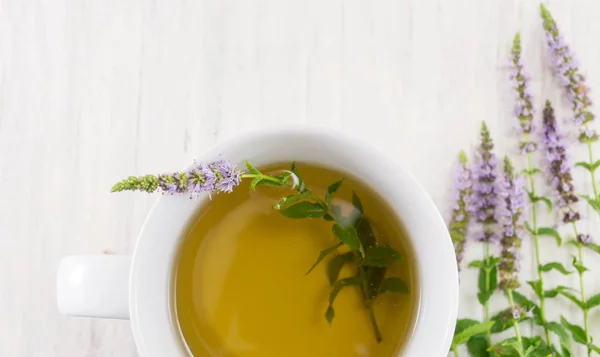 Chá de casa da moeda com ervas em uma xícara de chá — Fotografia de Stock